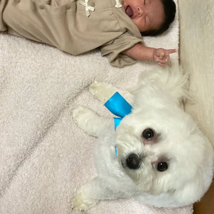 5636ff47 9bd6 4b2c bc30 b9af7597f588 1771166181922