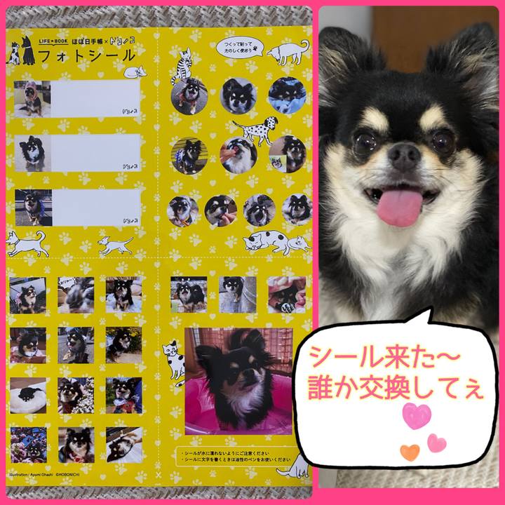 5637099d 438d 4794 bdda 82e91eaa1716 1657867750130