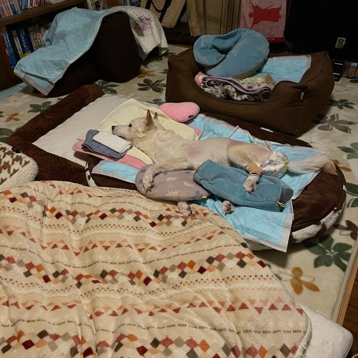 56370df5 8b7c 4637 aacb d86a0eac3e4a 1678371172452