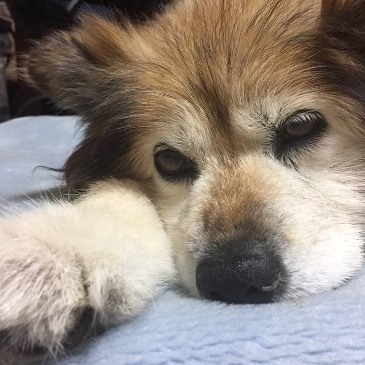 56372e53 904a 4581 b73c 4e7fe0b130e2 1552480877067