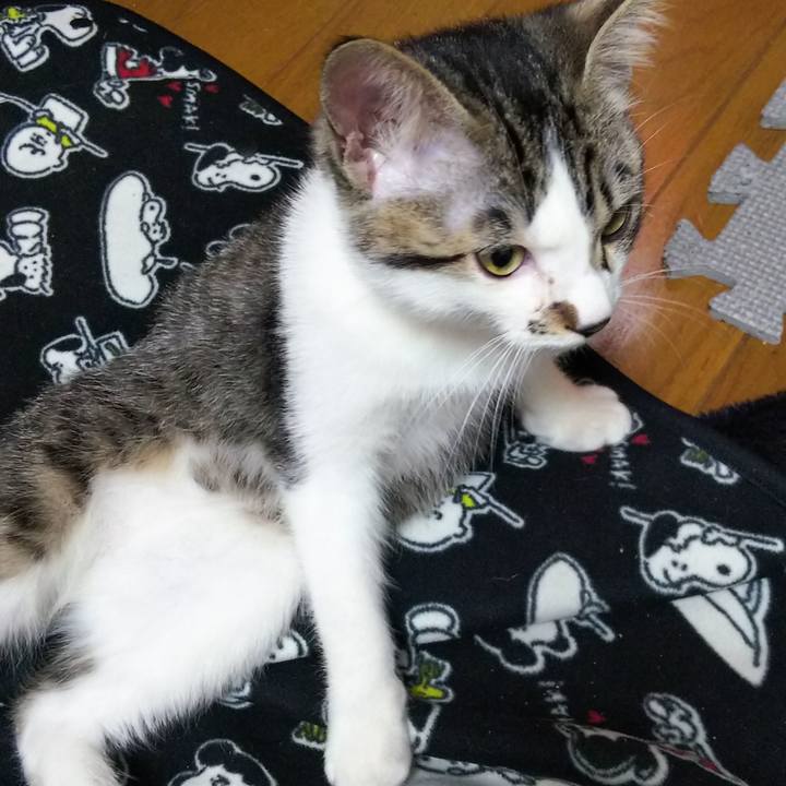 5637402c f1e6 431c 8638 844ded2b9856 1611050200749