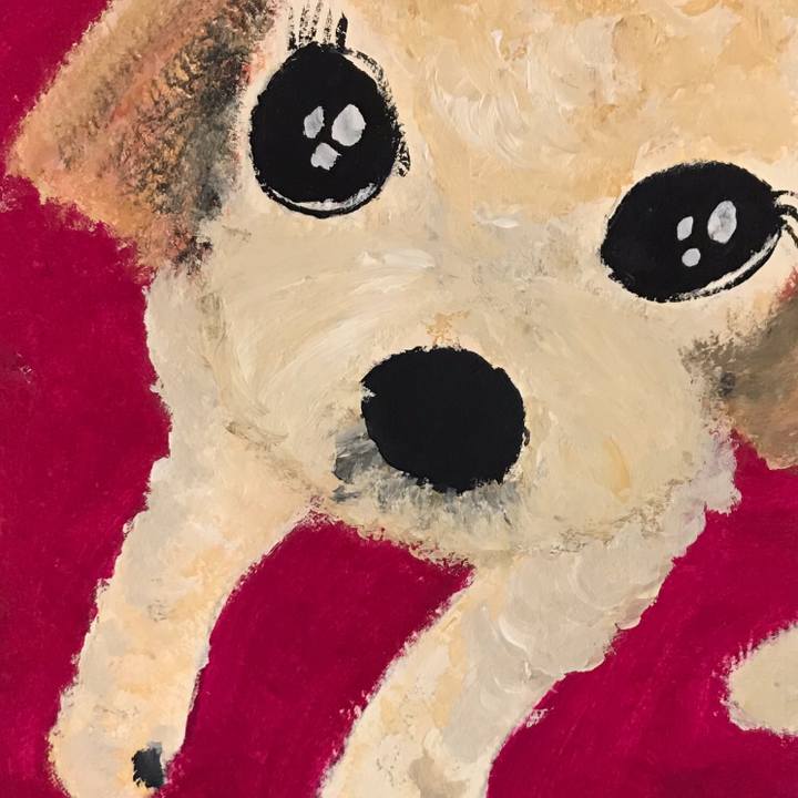 56374aa4 153a 4d26 8d55 e1ea1c7aa737 1543901222463