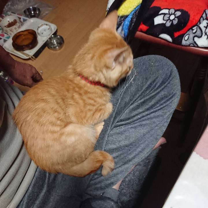 5637590f 096c 4f89 9c6e 79d43d0c2cc3 1632516721032