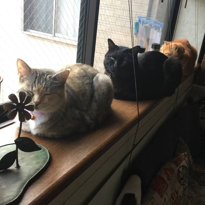 563776f8 4b0c 487a b07d 81b9bf6b0584 1552719019770