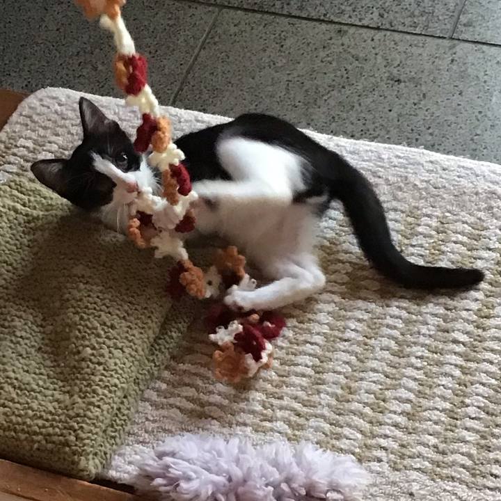 56379154 5b55 4a39 b8a4 95d68bf8a1e9 1626043801021