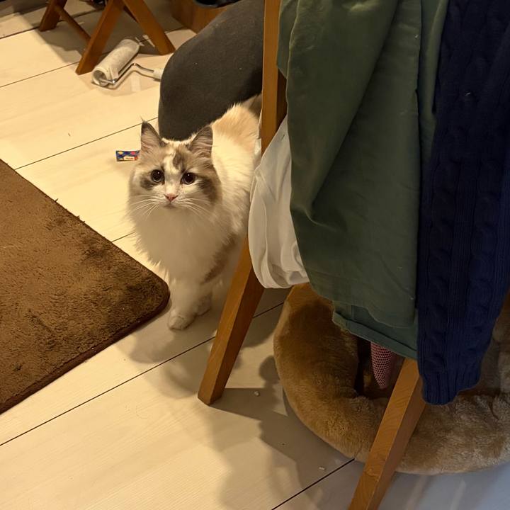 5637b53e 9f3b 4f5f b495 f7ec97f26a40 1764806282441