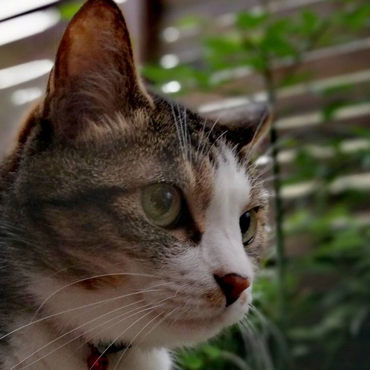 5637b5a7 8151 41e7 bcf3 8355af7754e2 1566980179704