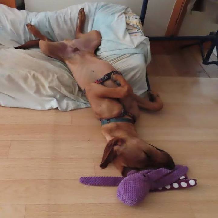 5637bd1d 8b1e 4e28 a3fd 76b71c70b5ee 1773633512593