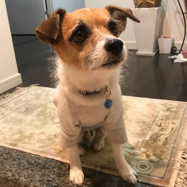 5637f279 cba9 46bc b6e3 9e470b8a8af8 1515448287619