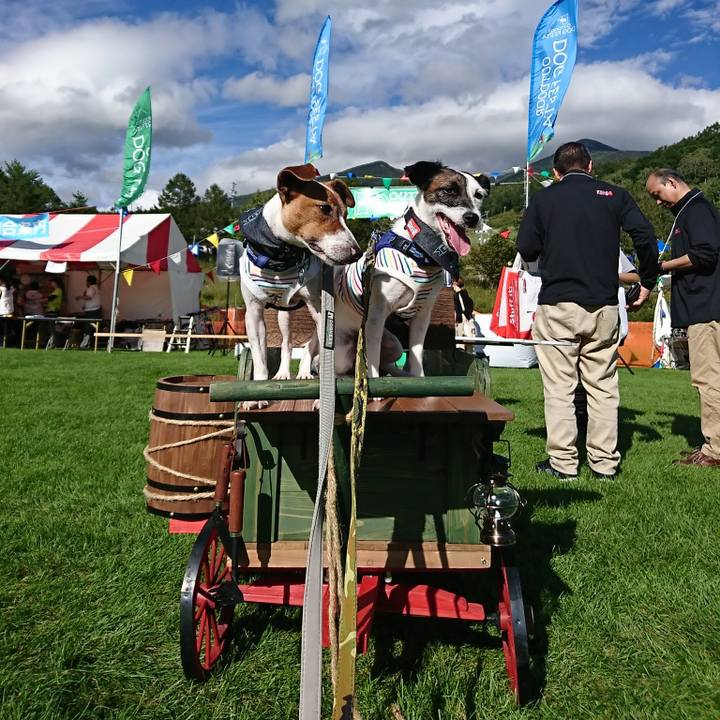 56380be6 0146 4c71 b5f4 1cc1546b95a4 1537601410734