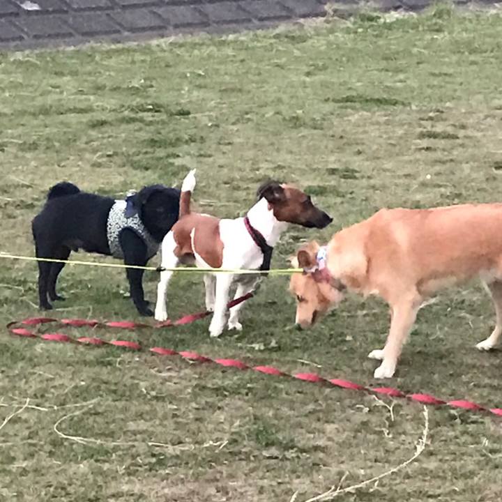 56384c5b 5cba 45f1 bae1 dccabd46ead0 1510526367357