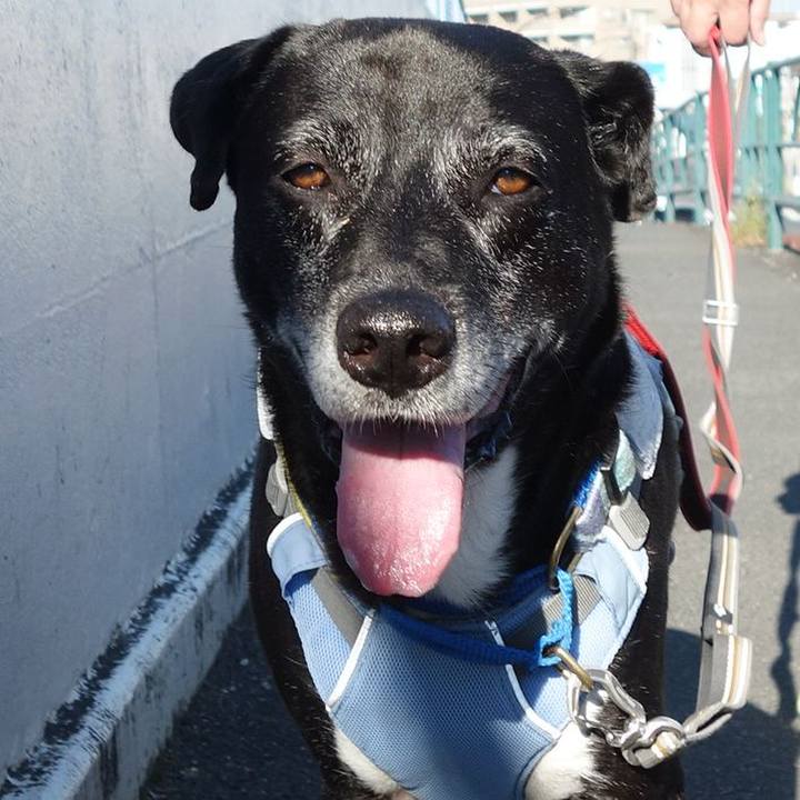 5638743a fee1 4b47 afb5 673f496e0735 1753746169895