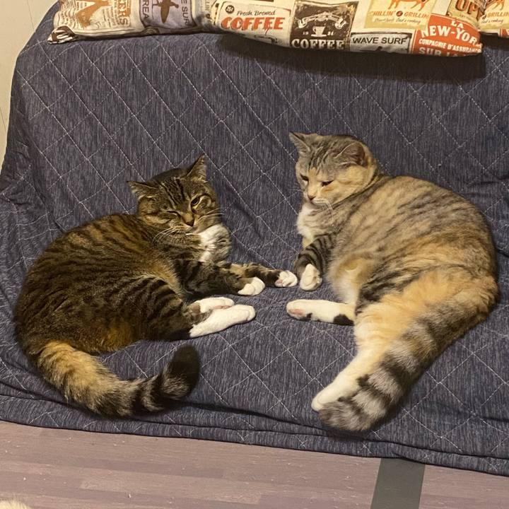 5638bbfb da8d 4d44 83e9 146cfc0519cf 1650990465568