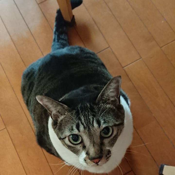 5638c6bb 5cae 4251 839d db3b256cacf2 1542505097948