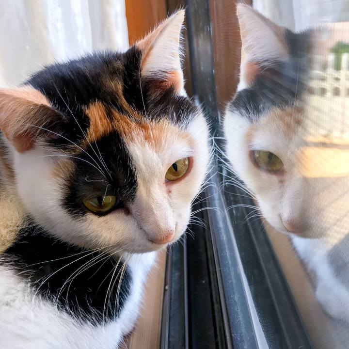 563908ac f00f 4335 85bc 76371feaee5d 1509547509441