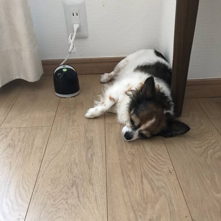 563961c2 a9f0 4cac 9102 87e29f2e415e 1596871000173