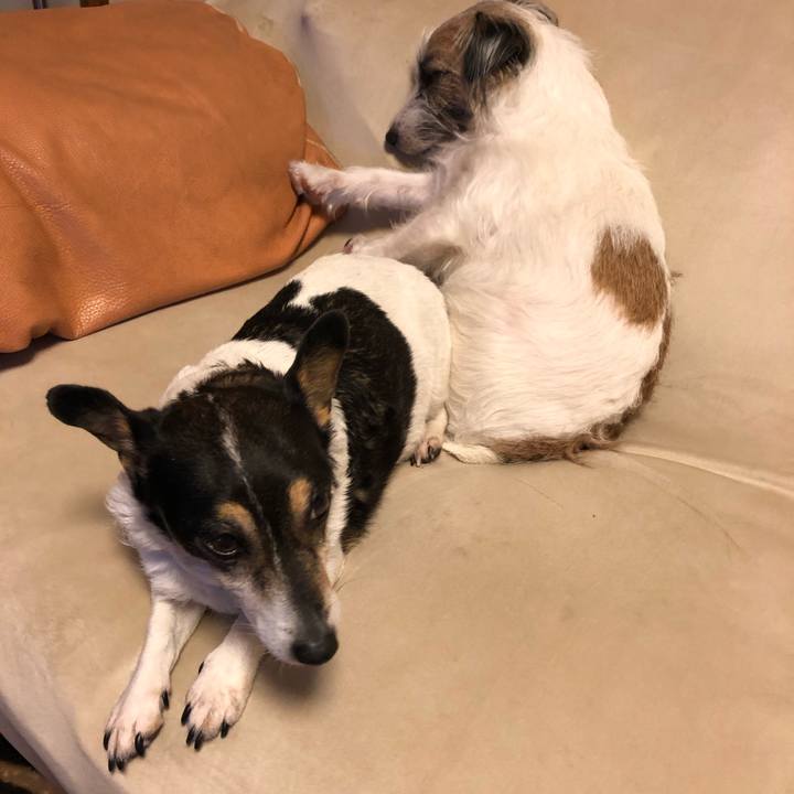 5639f6d5 924b 46d2 b33c 321555f26e59 1577542607192