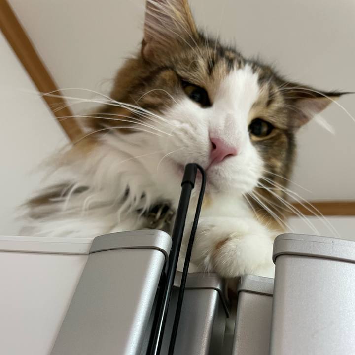 5639ffe7 3b11 4049 99db 4f793123797e 1648583895700