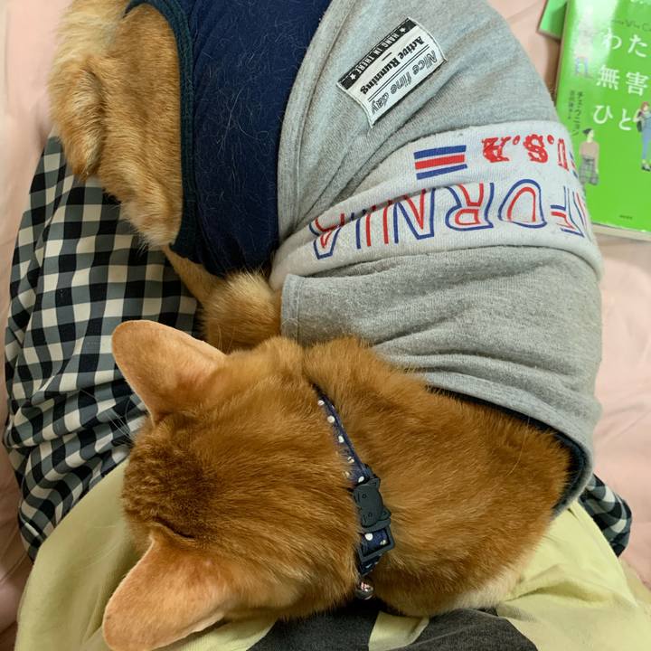 563a0919 3c9f 4eab b960 11be464b4092 1606021398339