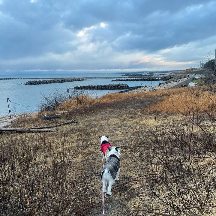 563a14a7 c705 40b5 8417 60a562f099d6 1736725219055