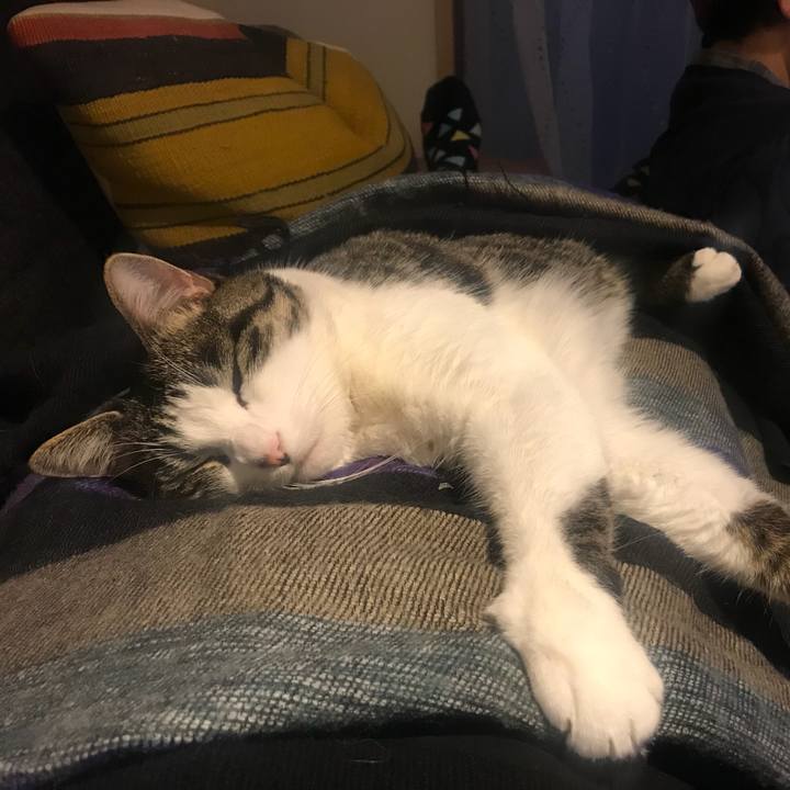 563a276c a4b8 4142 ac6d 924efa1f27a7 1545551282615