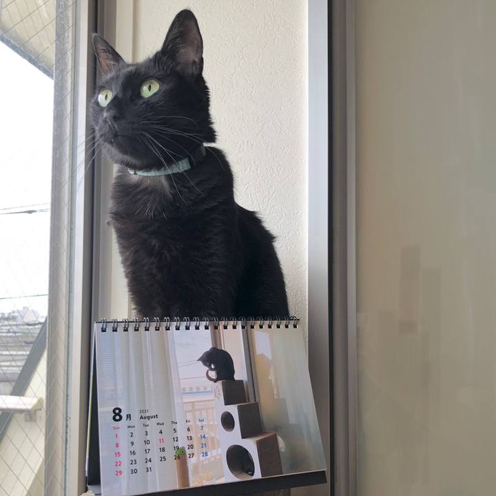 563a3478 85cf 4623 916b b958224397da 1629599560005