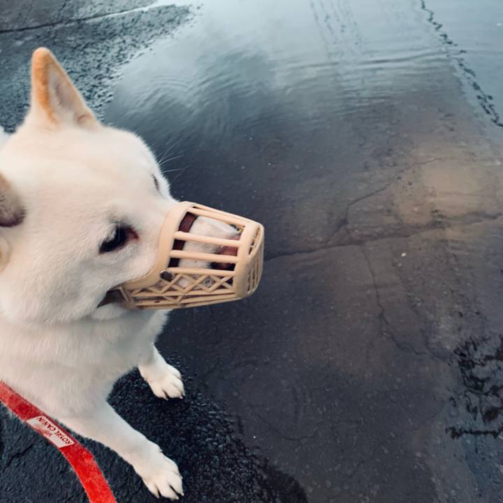 563ab35e ad33 4eff bd49 fdec4a793c6b 1601933038109