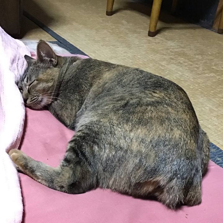 563aebbb 1bd0 4f99 82f5 5c71660ace57 1581331715425