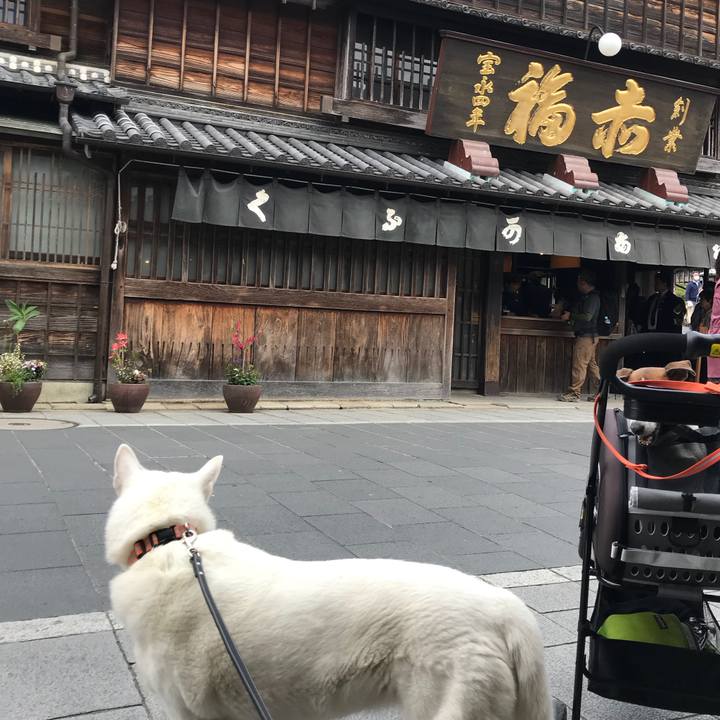 563b0992 05ad 4678 826d bcc2689e65e1 1523754394658