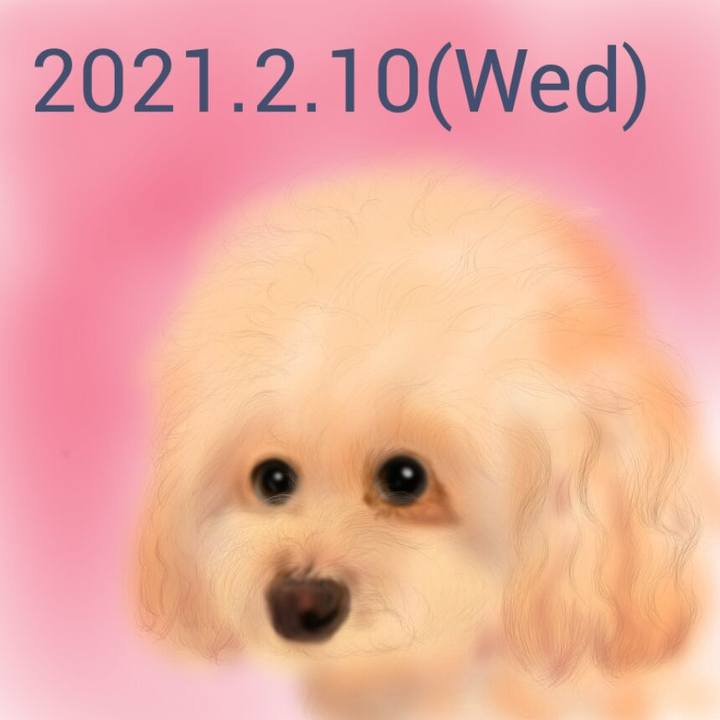 563b1156 b938 4c91 8f63 ad7b0b8be1f9 1612958913588