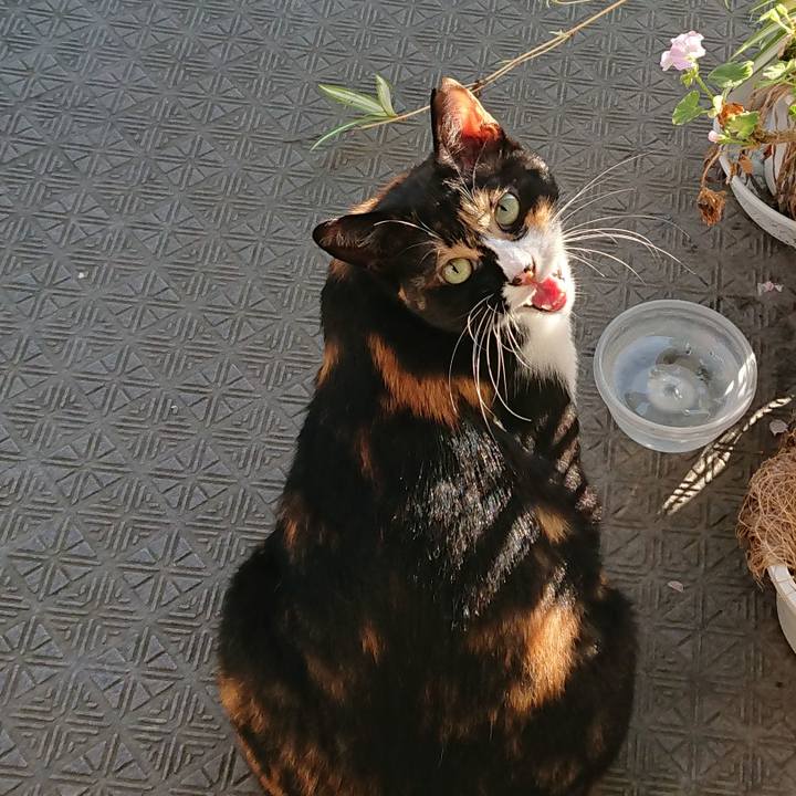 563b434c 8948 4325 9674 abc3d0d46142 1535665328090