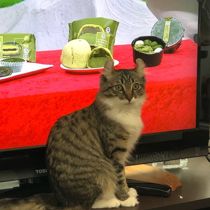 563b4e65 6716 4565 b22d a7352673c554 1520912258708