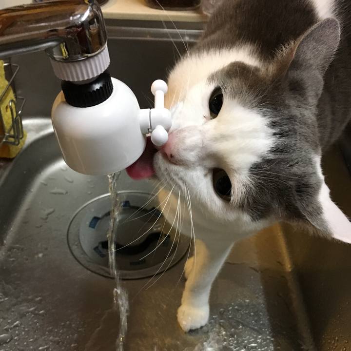 563b7fe8 a140 410f b7b1 6d43c48ed62e 1551758325563