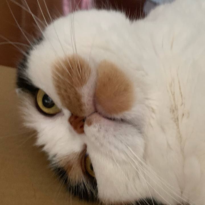 563bb151 6ed9 4ab3 8929 574a856daad5 1567842625037