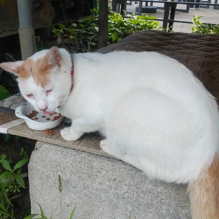 563c28e3 5fa8 4d7e 9773 70e7e7efafce 1593474313081