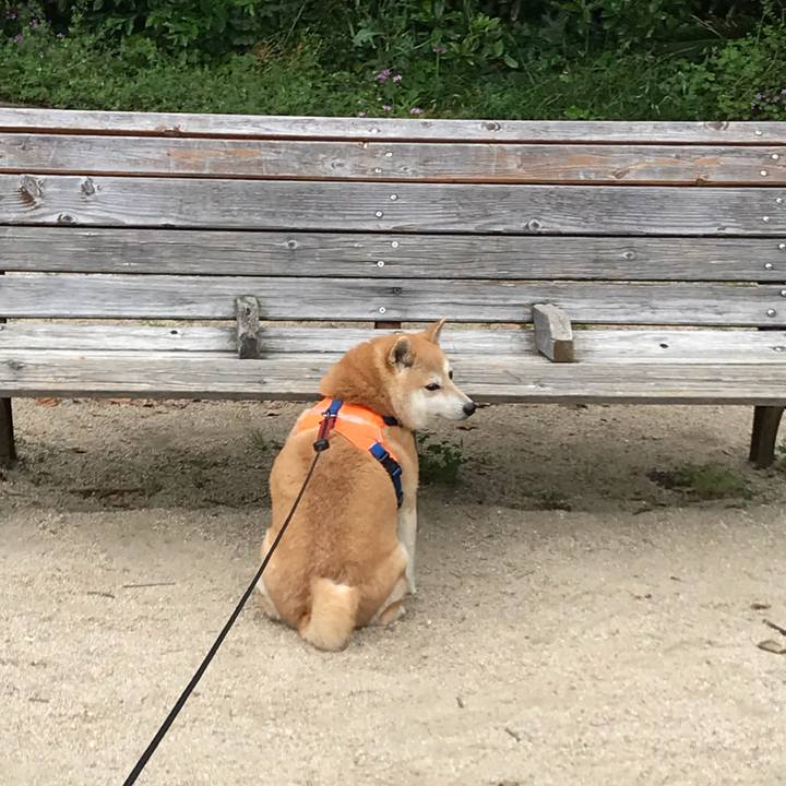 563c8eb1 8ef2 466e 8aaf 58a7c582d9c9 1526633511780