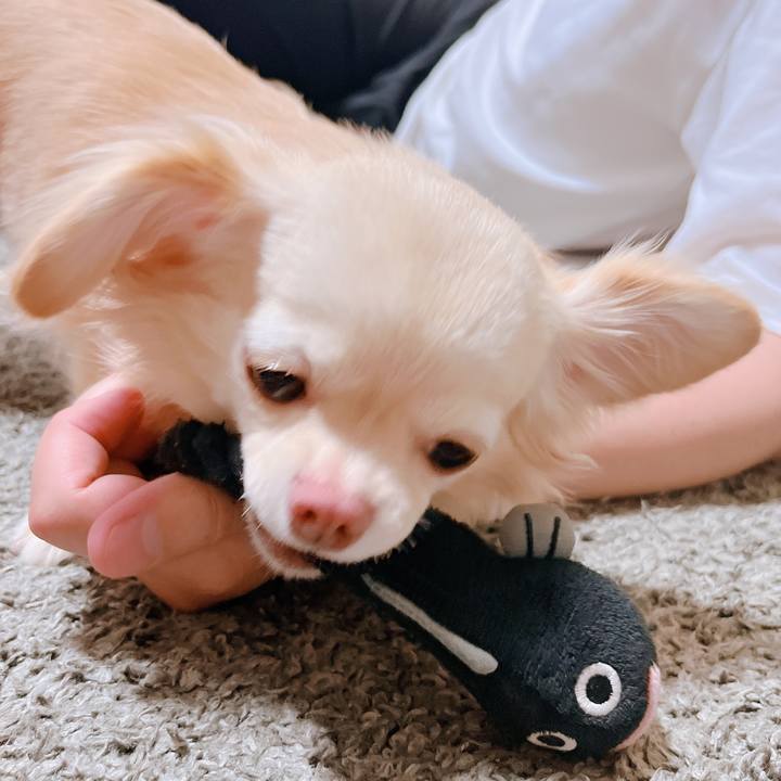 563ccc3d 60df 458a 942b 2e43423bc1fe 1658570877740