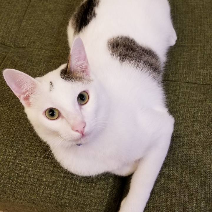 563cdfc5 f91e 4e5b a8c5 3c42a5c49100 1516974056478