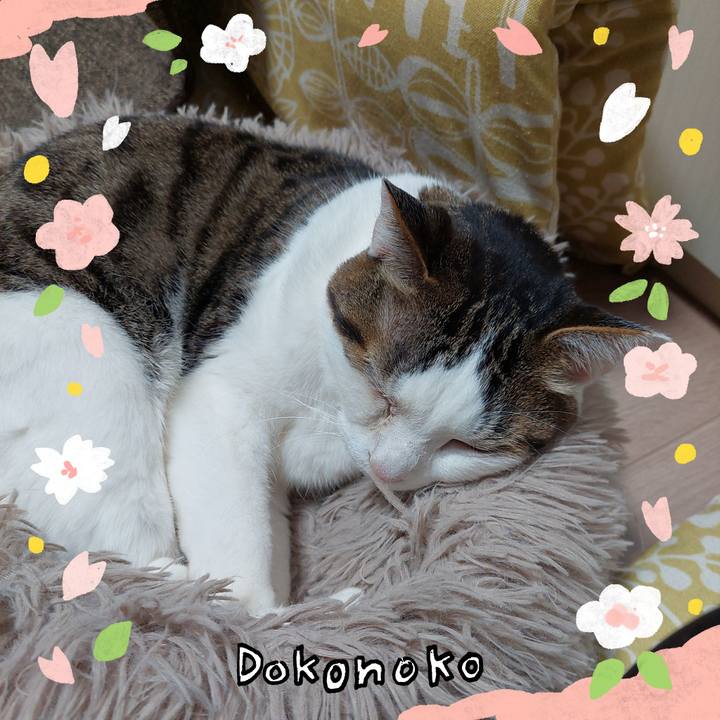 563cf608 025a 4d4e 9745 ea2e0592794a 1711015809155