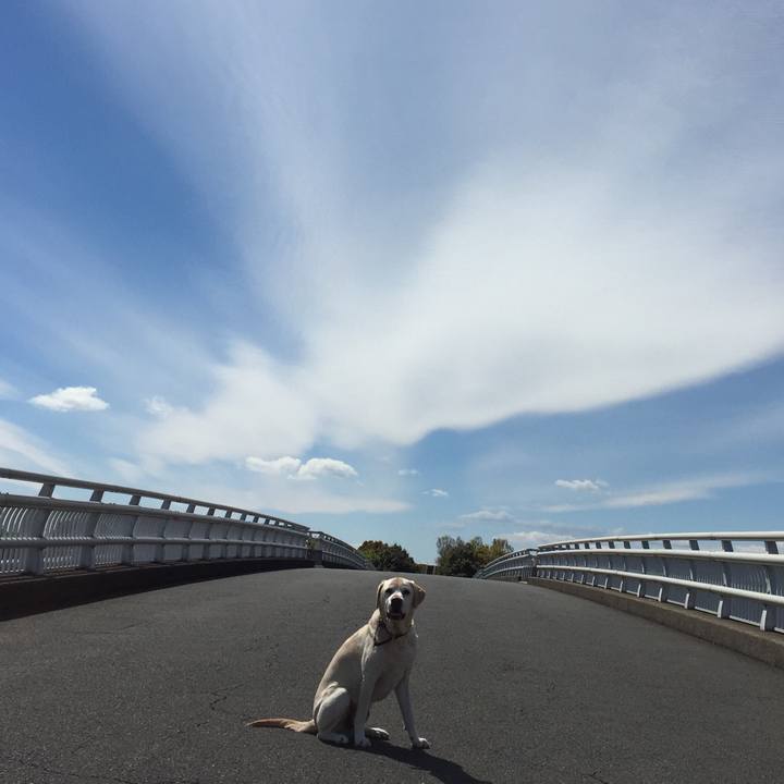 563cf6d6 240d 4514 a10e 78357bc869c7 1554972542817