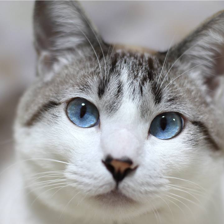 563d3d89 4033 4aa5 b2e0 4df9d055d297 1656547324081