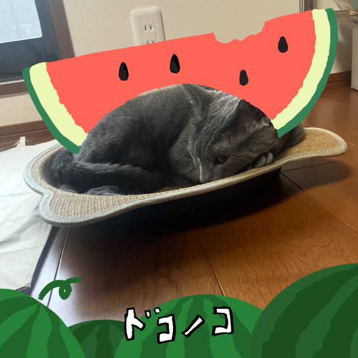 563d3e72 583e 4ff2 b9df 9c372e444167 1720860939440