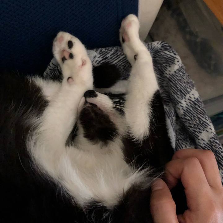 563d5837 6113 48b2 b08c 9bf07e56bce3 1558775829029