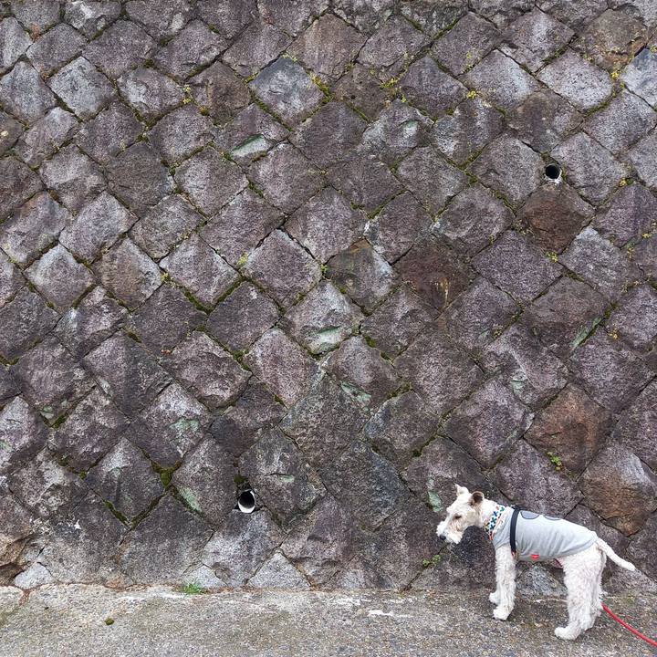 563dfa8e 8a92 45ce a3f6 97c8d46aa131 1617508193382