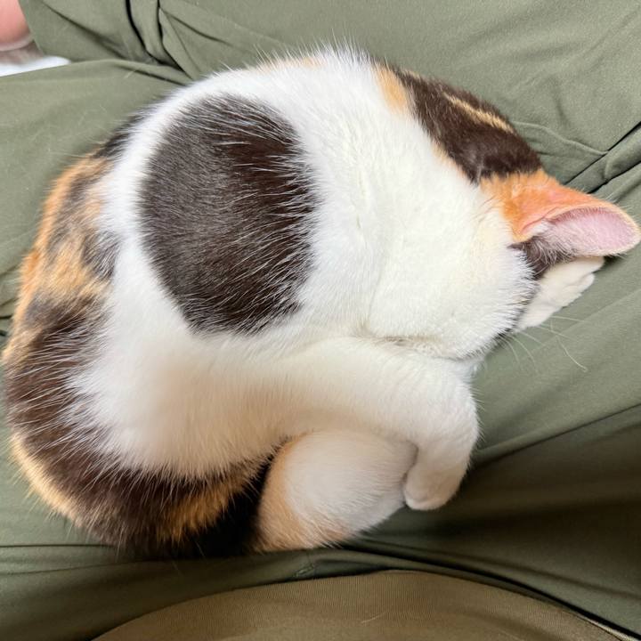 563e4d45 8764 4eaf 8824 3b6ec90ccd02 1731202142319