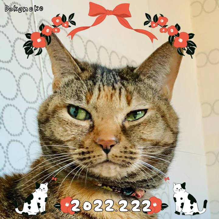 563e7629 9987 41ae 9ba1 c554990afe70 1645514947061