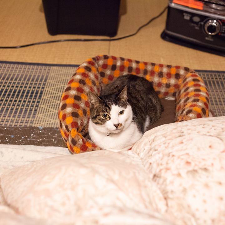 563e7d23 1a05 454e 8767 4bb1cee19813 1548594120264