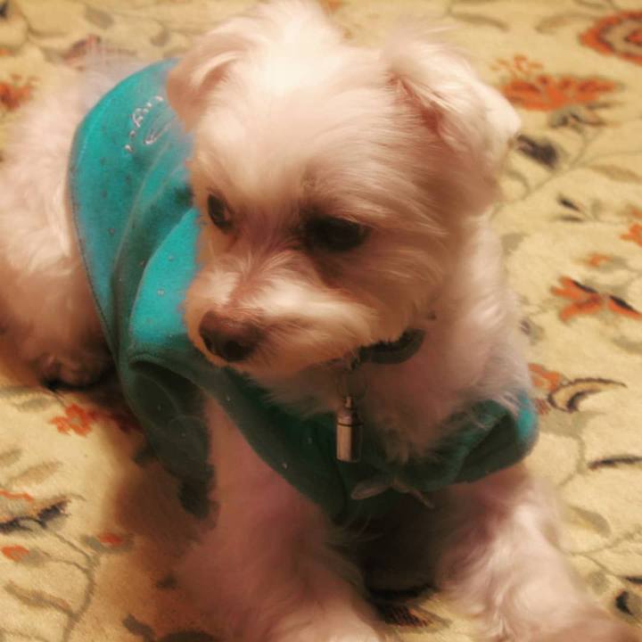 563eb1ea a232 4459 8326 80530e6f0dbf 1532830056468