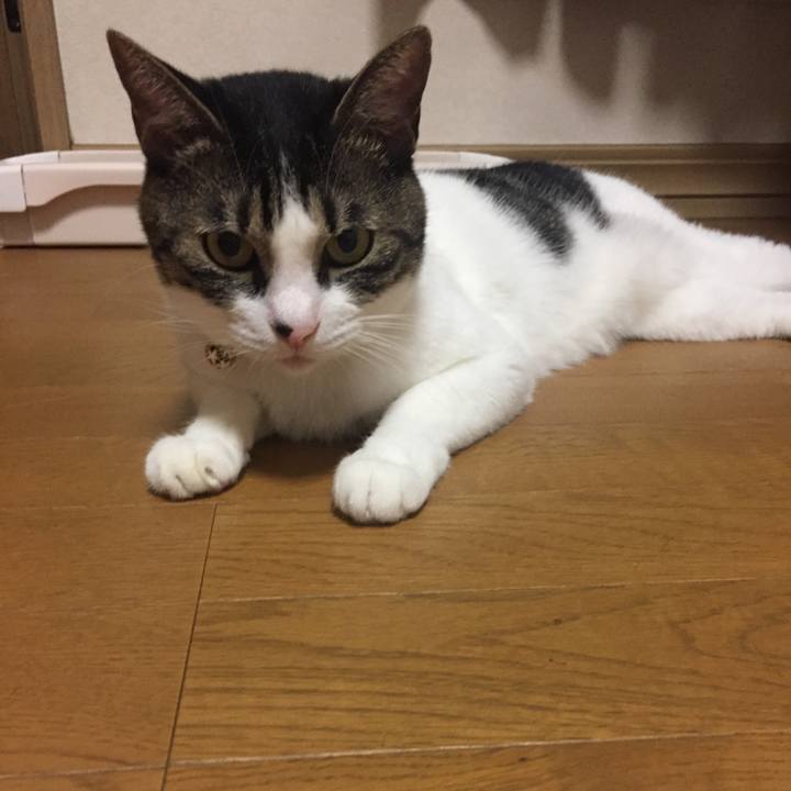 563ebdd0 fc40 469b b438 70c03de1c506 1532013592956