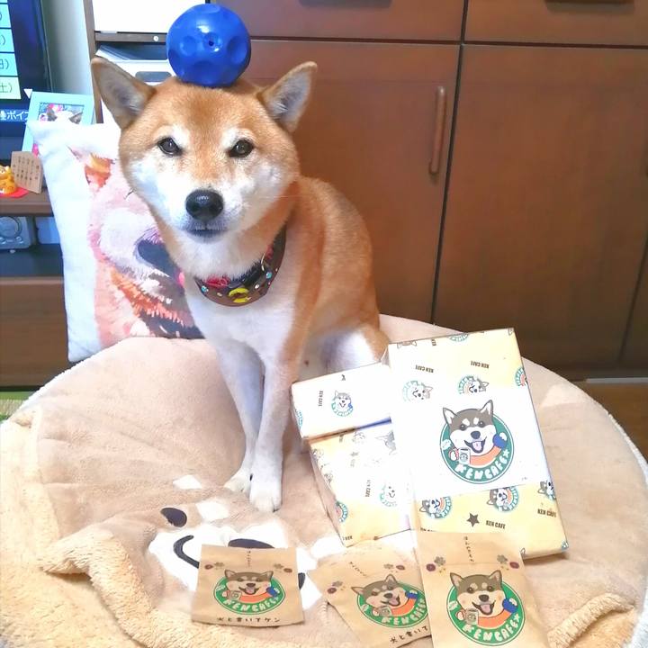 563ec4f1 df42 43e4 82f3 83b99becb714 1671078378783